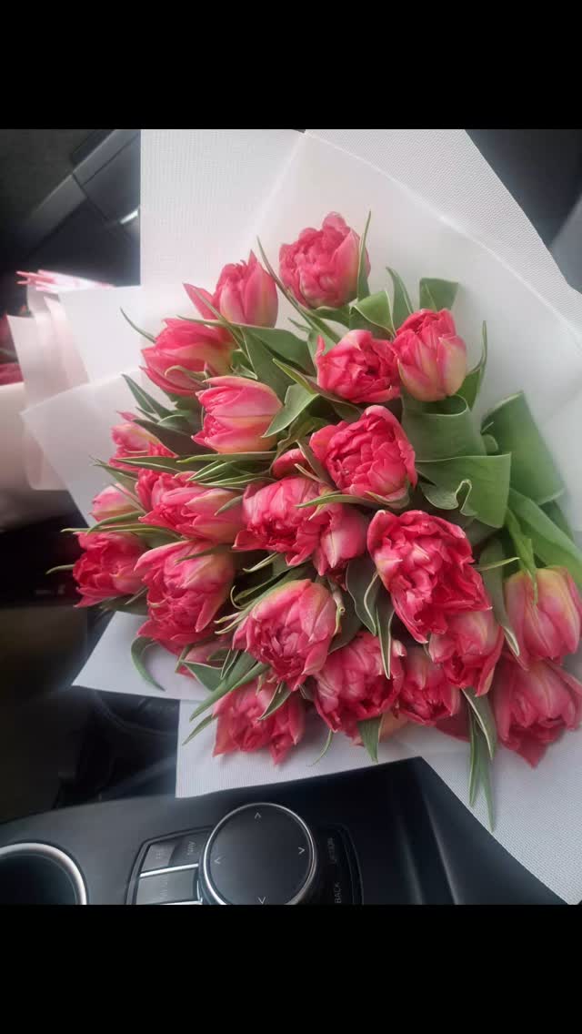 Тюльпани в дощик ,це саме