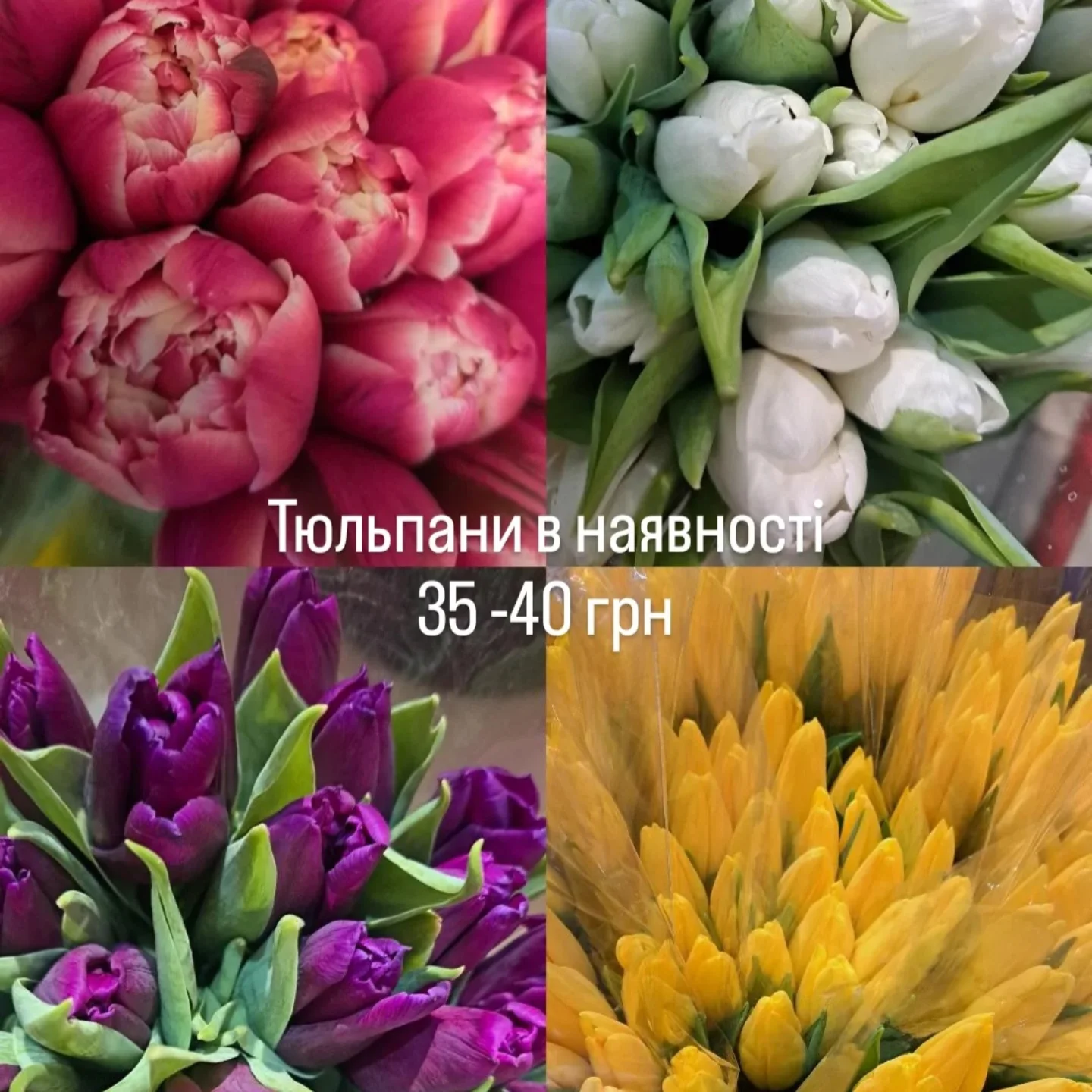 Замовлення приймаємо за номером ÷380997398942