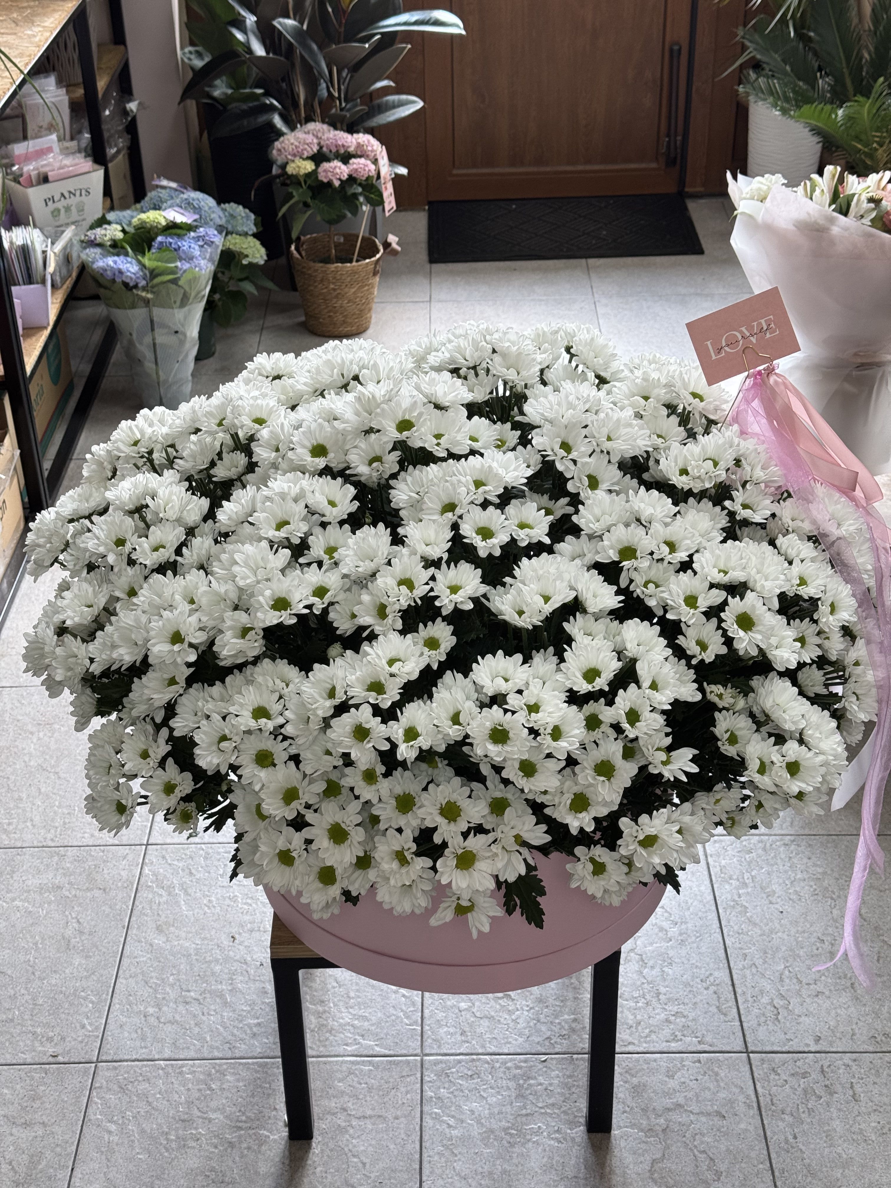 Композиція з 51 гілочки ромашки в коробці 