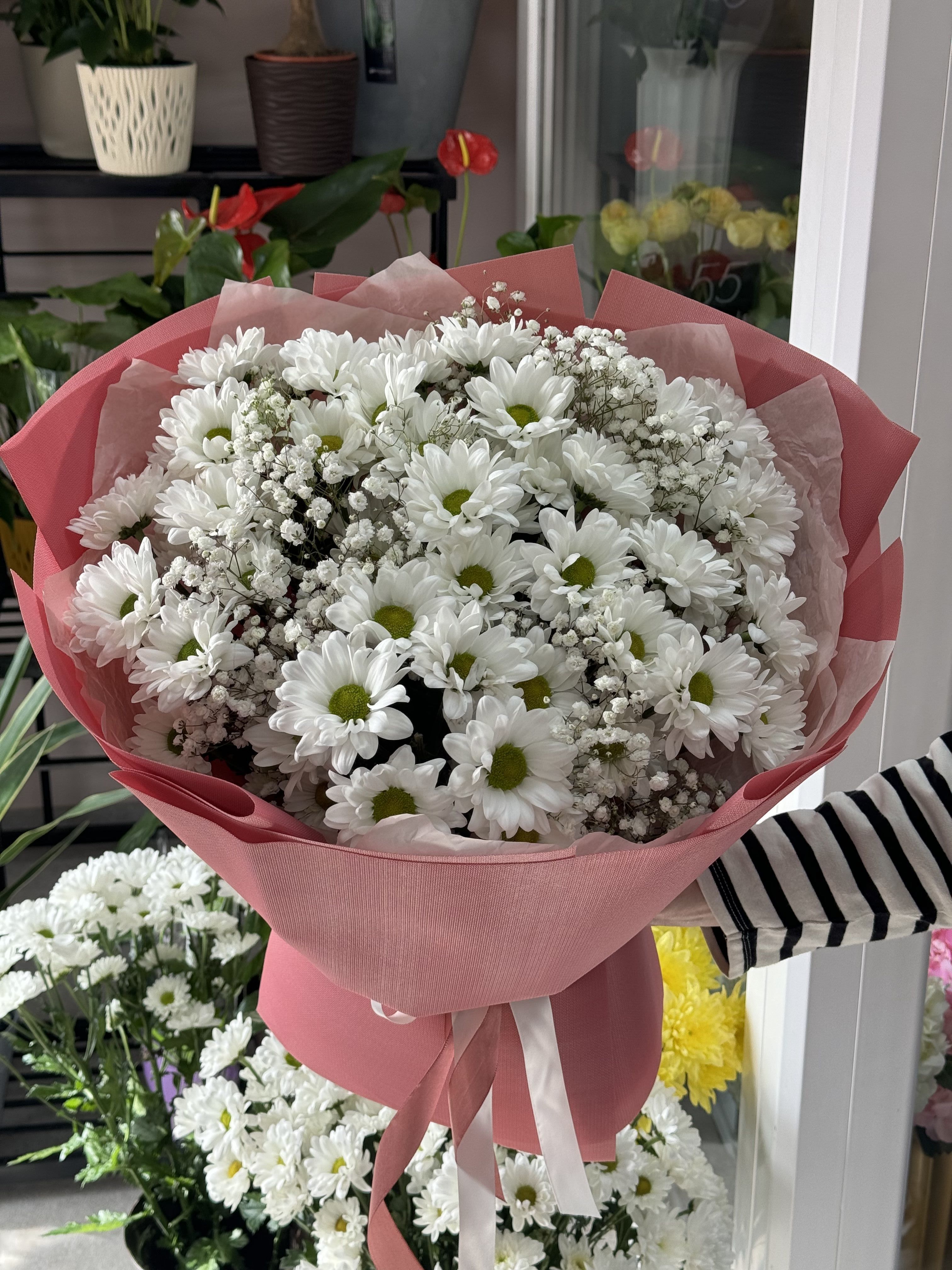 Букет із 7 ромашок і гіпсофіли