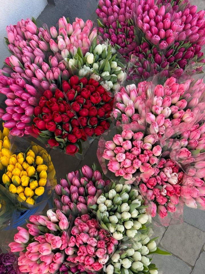 Свіжі тюльпани у наявності🌷 Для