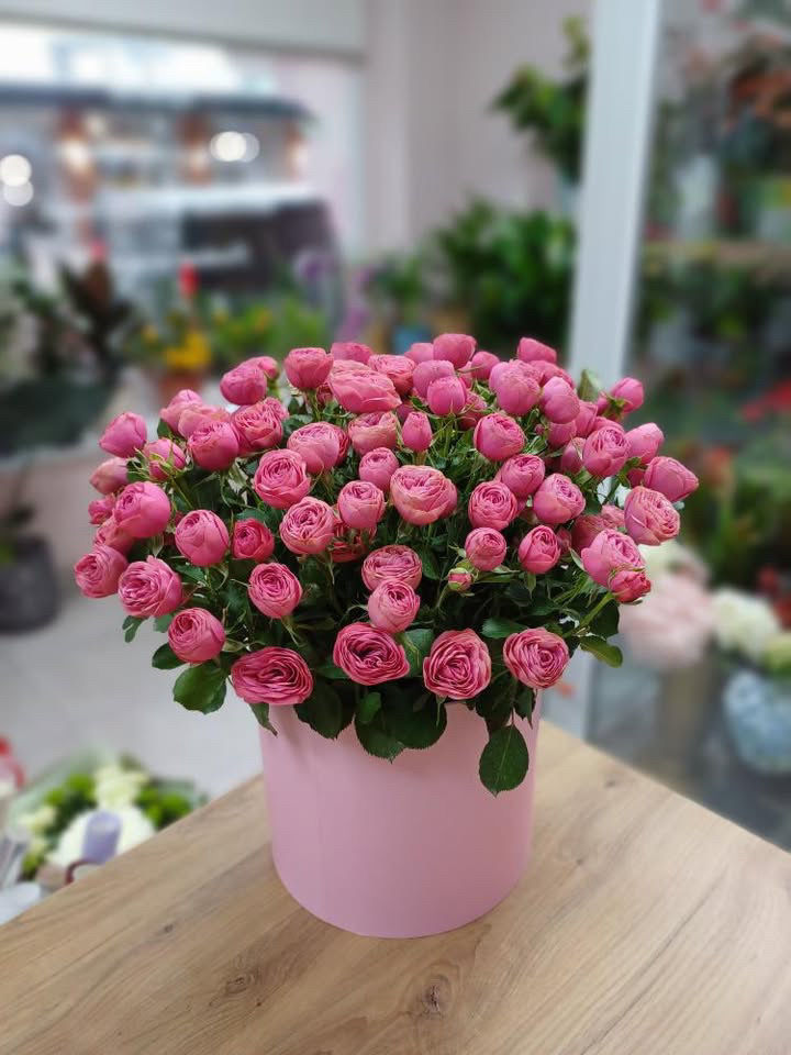 Кущова троянда в боксі 