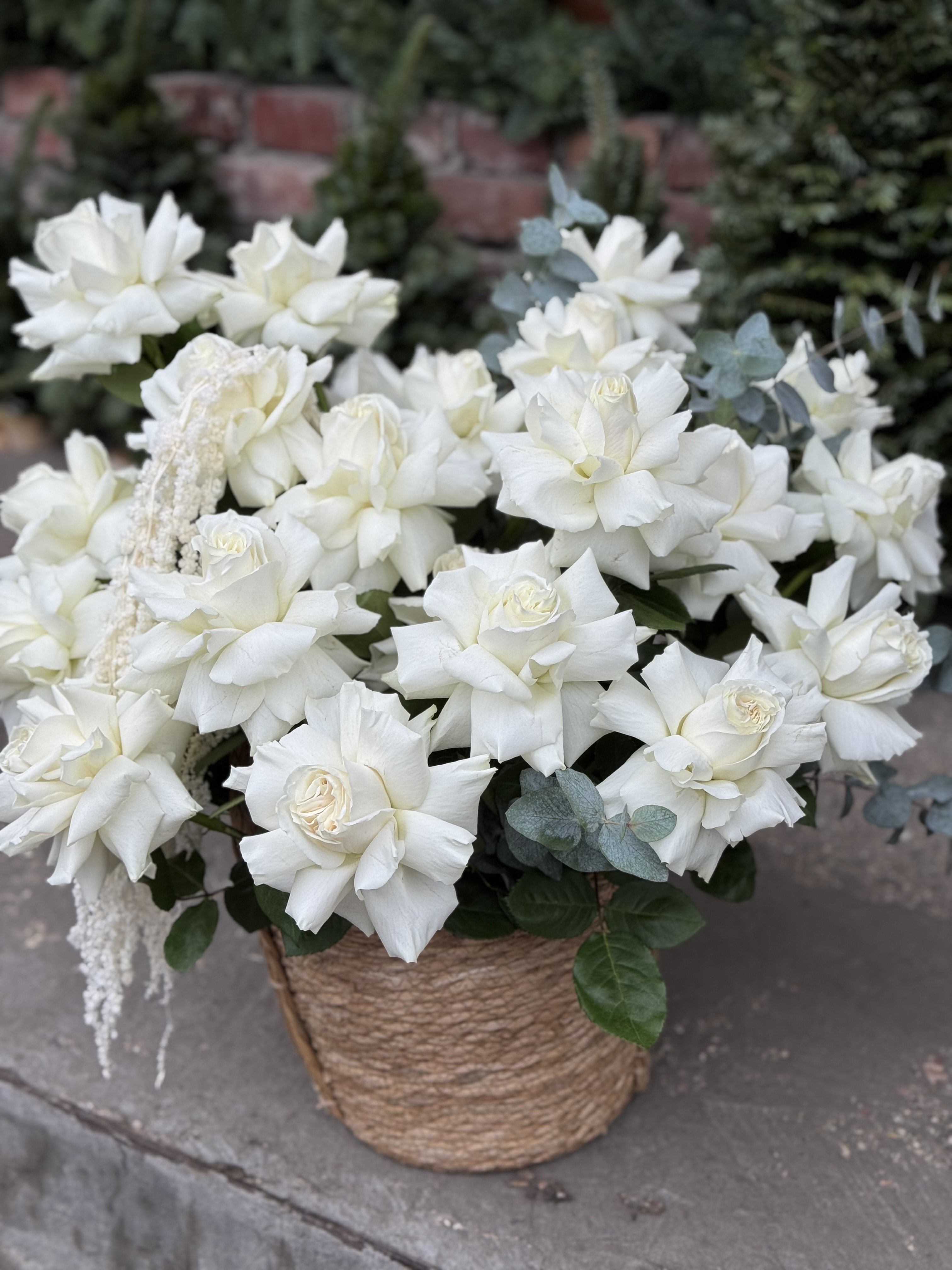 Корзина французьких троянд 